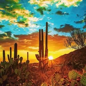 Meet your Posher, Lisa aicher